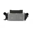 Intercooler, échangeur NRF 309044 - Visuel 1