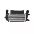 Intercooler, échangeur NRF 309044 - Visuel 3