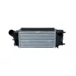 Intercooler, échangeur NRF 309050 - Visuel 1