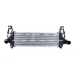 Intercooler, échangeur NRF 309058 - Visuel 1