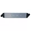 Intercooler, échangeur NRF 30906 - Visuel 1