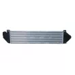 Intercooler, échangeur NRF 30906 - Visuel 3