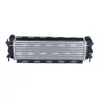 Intercooler, échangeur NRF 309061 - Visuel 3