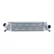 Intercooler, échangeur NRF 309062 - Visuel 1