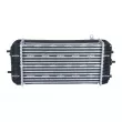 Intercooler, échangeur NRF 309066 - Visuel 3