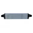 Intercooler, échangeur NRF 309067 - Visuel 1