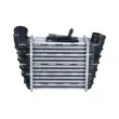 Intercooler, échangeur NRF 309073 - Visuel 3