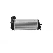 Intercooler, échangeur NRF 30909 - Visuel 3