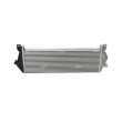 Intercooler, échangeur NRF 30910 - Visuel 3