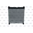 Intercooler, échangeur NRF 30911 - Visuel 1