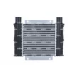 Intercooler, échangeur NRF 309123 - Visuel 1