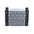 Intercooler, échangeur NRF 309123 - Visuel 3