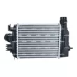 Intercooler, échangeur NRF 309125 - Visuel 3