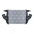Intercooler, échangeur NRF 309133 - Visuel 1