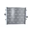 Intercooler, échangeur NRF 309136 - Visuel 1