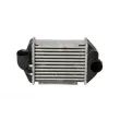 Intercooler, échangeur NRF 30914 - Visuel 1