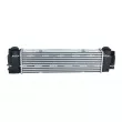Intercooler, échangeur NRF 309141 - Visuel 3