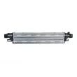 Intercooler, échangeur NRF 309146 - Visuel 1