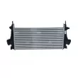 Intercooler, échangeur NRF 30917 - Visuel 1