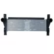Intercooler, échangeur NRF 30918 - Visuel 1