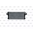 Intercooler, échangeur NRF 30921 - Visuel 1