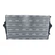Intercooler, échangeur NRF 30931 - Visuel 3