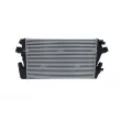 Intercooler, échangeur NRF 30934 - Visuel 3