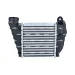 Intercooler, échangeur NRF 30935 - Visuel 3