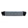 Intercooler, échangeur NRF 30946 - Visuel 1