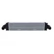Intercooler, échangeur NRF 30951 - Visuel 1