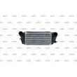 Intercooler, échangeur NRF 30953 - Visuel 1