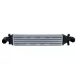 Intercooler, échangeur NRF 30957 - Visuel 1