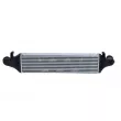 Intercooler, échangeur NRF 30958 - Visuel 3