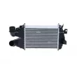 Intercooler, échangeur NRF 30961 - Visuel 1