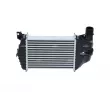 Intercooler, échangeur NRF 30961 - Visuel 3