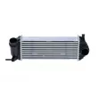 Intercooler, échangeur NRF 30962 - Visuel 1