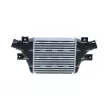 Intercooler, échangeur NRF 30969 - Visuel 1