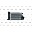 Intercooler, échangeur NRF 30972 - Visuel 1