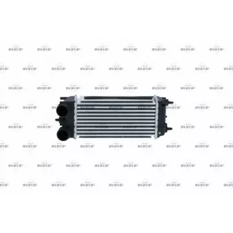 Intercooler, échangeur NRF 30979