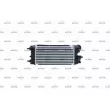 Intercooler, échangeur NRF 30979 - Visuel 3