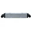 Intercooler, échangeur NRF 30980 - Visuel 1
