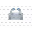 Radiateur d'huile NRF 31771 - Visuel 3