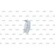 Radiateur d'huile NRF 31806 - Visuel 2