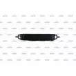 Radiateur d'huile NRF 31809 - Visuel 1