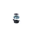Bobine, compresseur-embrayage magnétique NRF 380032 - Visuel 2