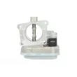 Corps papillon NRF 408049 - Visuel 3