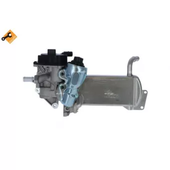 Module-EGR NRF