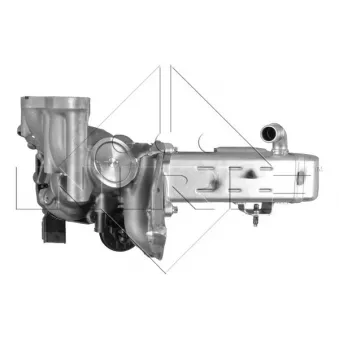 Module-EGR NRF 48204