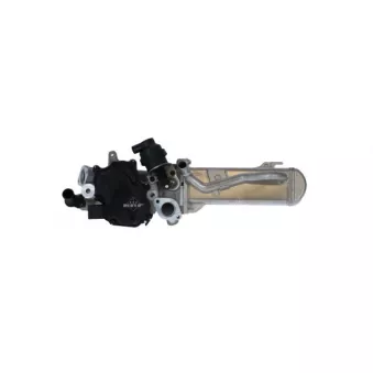 Module-EGR NRF