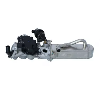 Module-EGR NRF 48206